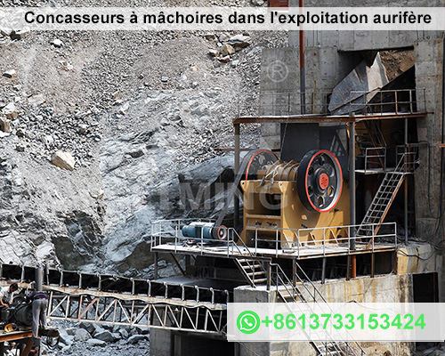 Concasseurs à mâchoires dans l'exploitation aurifère