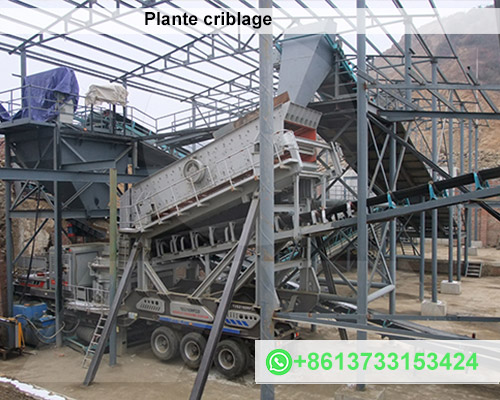 Plante criblage