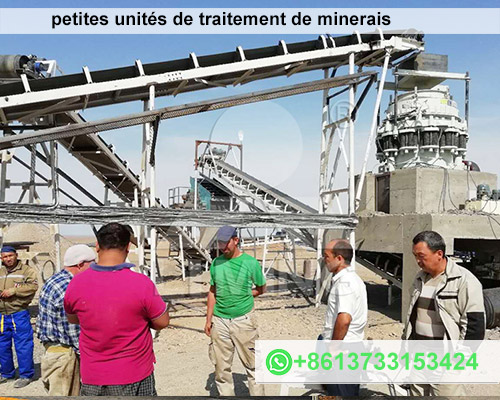 petites unités de traitement de minerais