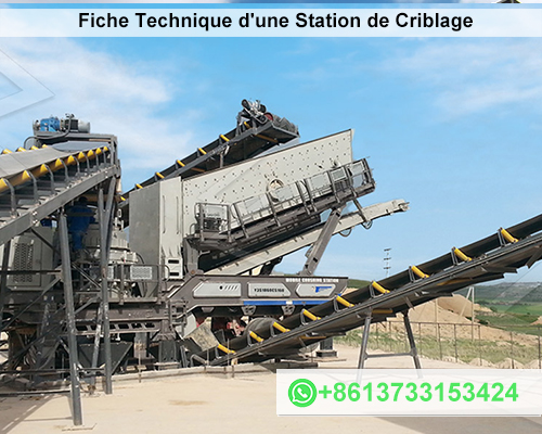 Fiche Technique d'une Station de Criblage