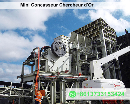 Mini Concasseur Chercheur d'Or