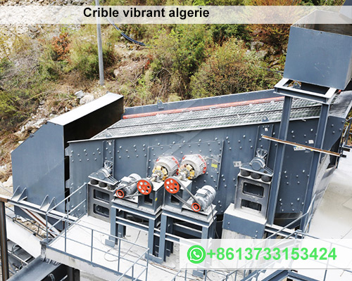 Crible vibrant algerie