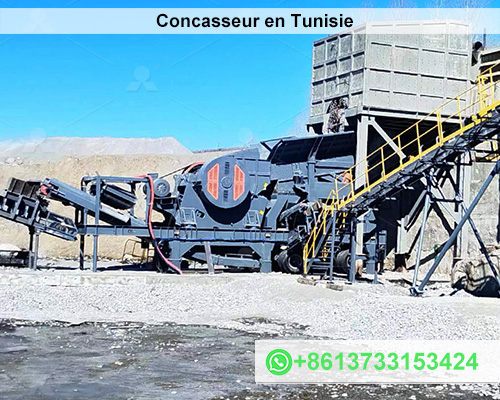 Étude de Rentabilité d'un Projet de Concasseur en Tunisie