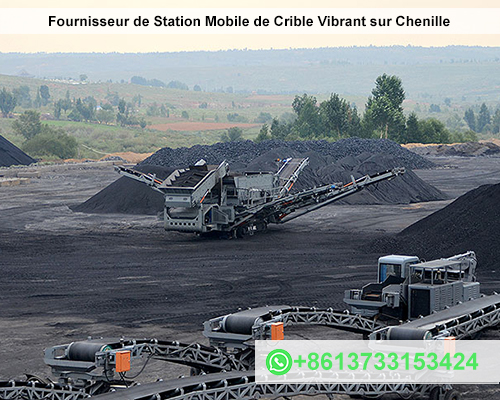 Fournisseur de Station Mobile de Crible Vibrant sur Chenille