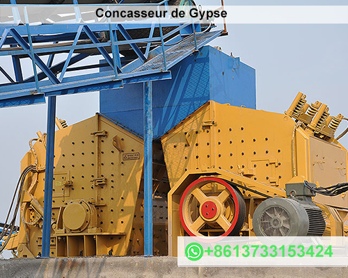 Machine de Fabrication de Concasseur de Gypse