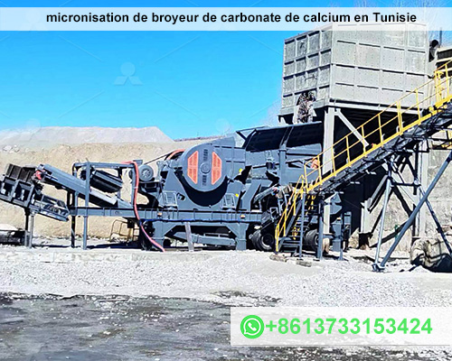 Offre complète pour l'unité de micronisation de broyeur de carbonate de calcium en Tunisie