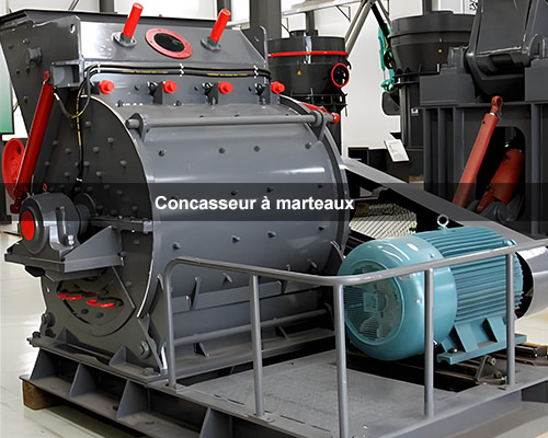 Concasseur à marteaux
