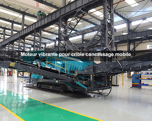 Moteur vibrante pour crible concassage mobile